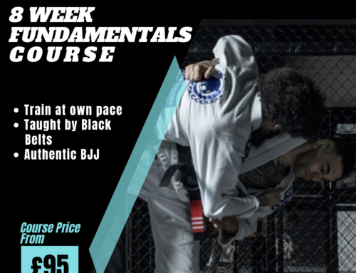 Brazilian Jiu Jitsu Fundamentals