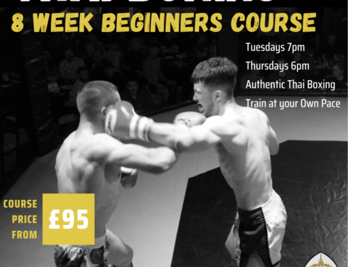 Beginners Thai Boxing Course