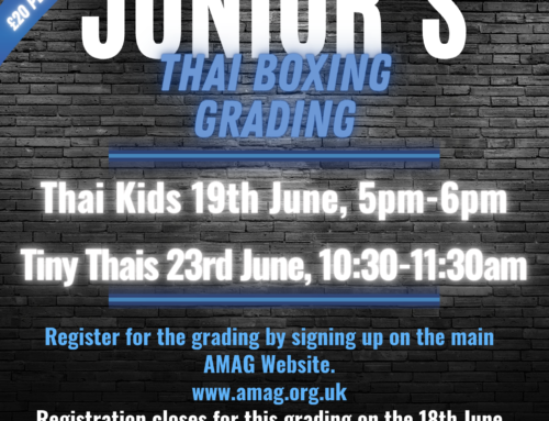 Junior Thai Boxing Grading